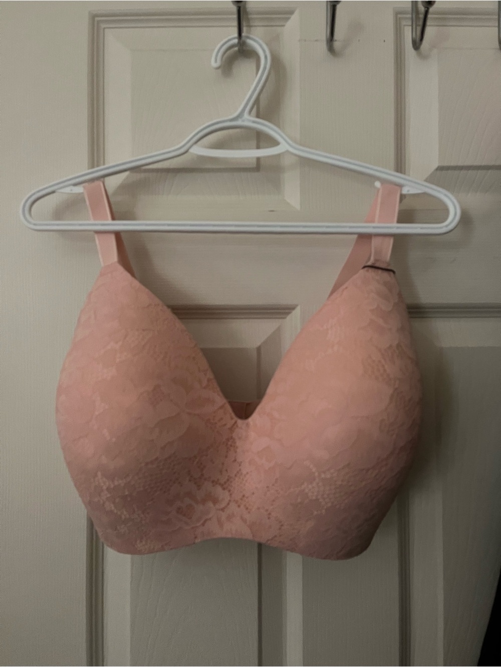 Lace WingWoman Contour Bra in Rose Water